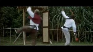 Bo ming chan dao duo ming qiang