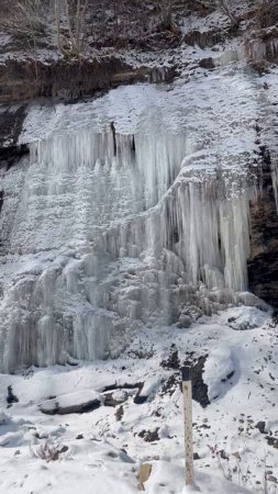 Ну что за красотаааааааа🤌🏼