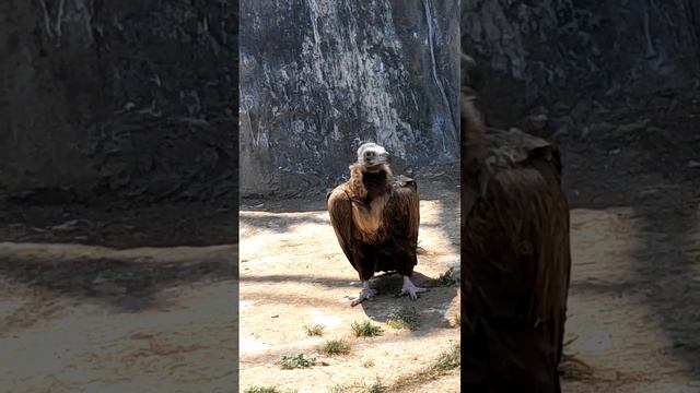 9 июля 2024 г.(5) смотреть онлайн