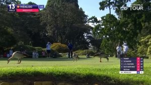 Round 1 Highlights | 2025 Magical Kenya Open