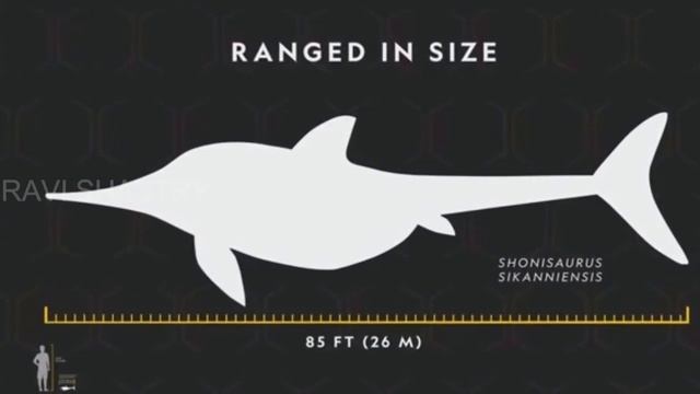 SEA MONSTER FACTS IN TELUGU смотреть онлайн