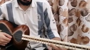 Traditional instrument (Tar)