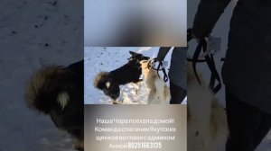 22-02-2025 Чара поехала домой