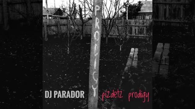 DJ PARADOR-pizdetz prodigy