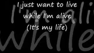Bon Jovi- It's My Life(lyrics)