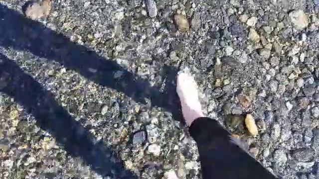 Горная река. Осетия