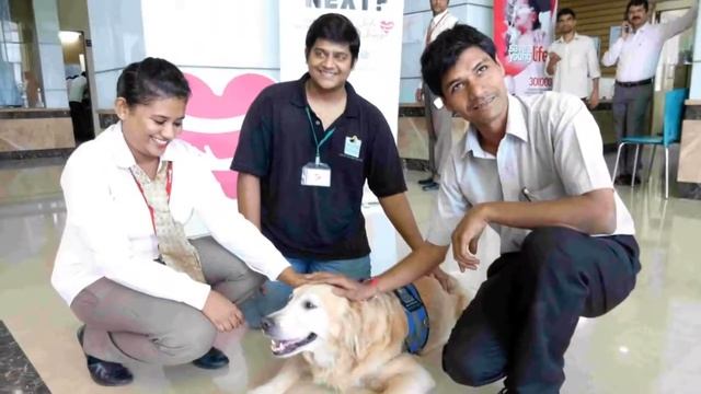World Heart Day - with Pepe, the Therapy Dog at Wockhardt, Mira Road смотреть онлайн