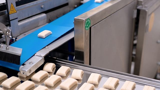 Кондитерское оборудование для производства печенья. DFM02