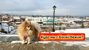 Куда мы с Басей бежим?