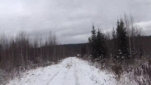 Дорога в тайгу осень лес зимняя дорога тайга