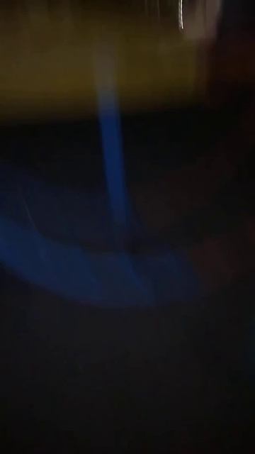 Дикий хомяк