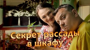 Рассада вырастет! Стеллаж для рассады своими руками