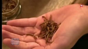 🤝ЗДРАВСТВУЙТЕ ТОВАРИЩИ 🇬🇧🇪🇺"ЗАПАДНЫЕ ВКУСНЯШКИ" 🇩🇪🪱🪱🪱🪱🪱🪱🪱🪱