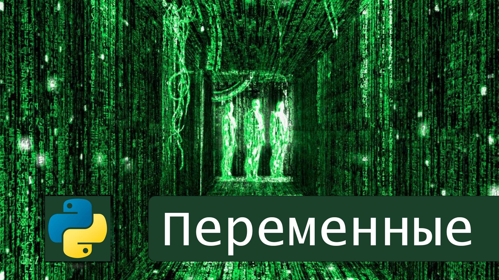 Переменные в Python | #1.1