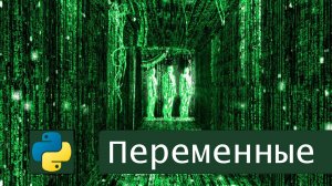 Переменные в Python | #1.1