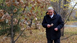 Вишня - Владимир Евтодеев