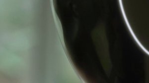 Робот-дворецкий