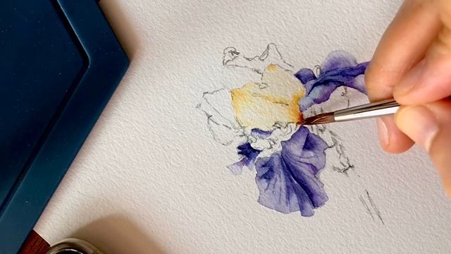 [베리현 수채화]아이리스 그리기| Watercolor painting | Watercolor flower | Watercolor tutorial | iris | 수채화초보 смотреть онлайн