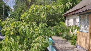 🔥 Песня спетая Сердцем!! А я твердила мне другие нравятся !