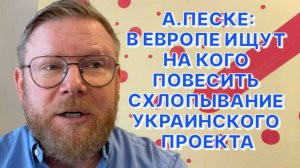 А.ПЕСКЕ: Политика больших партий Германии вызывает рвотный рефлекс у среднестатистического немца