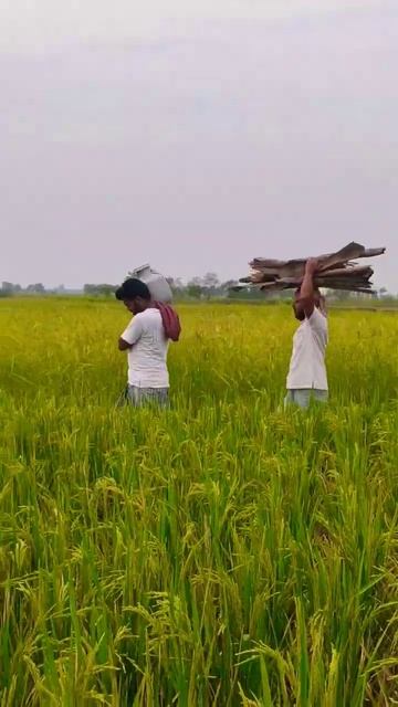 Sundarban Village Life & Cooking 🐯 | সুন্দরবনের গ্রাম্য জীবন এবং রান্না смотреть онлайн