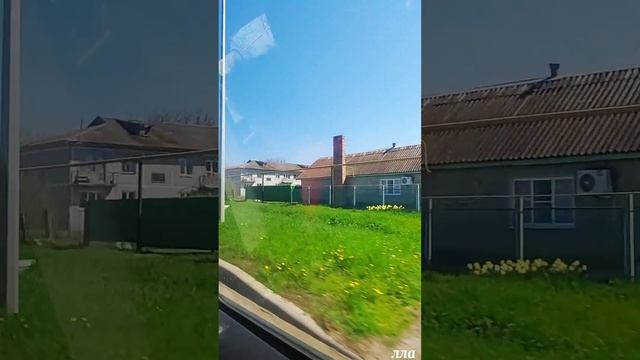 🌞 ст .Канеловская,обзор,7апреля 2024г #краснодарскийкрай#video# #переезднаюг#тюльпан#первоцветы