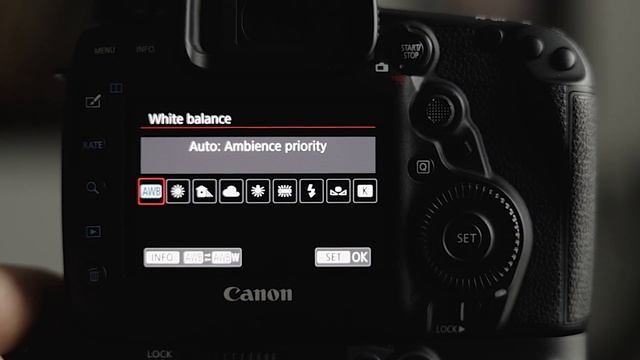 Best Picture Style for Weddings  Canon Camera