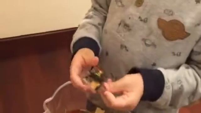 Beetles (Atlas Beetle, Stag beetle, Phalacrognathus mueller смотреть онлайн