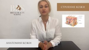 Отрывок из курса "Косметолог-эстетист". Теория