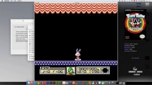 Tiny Toon Adventures (Stage 6)