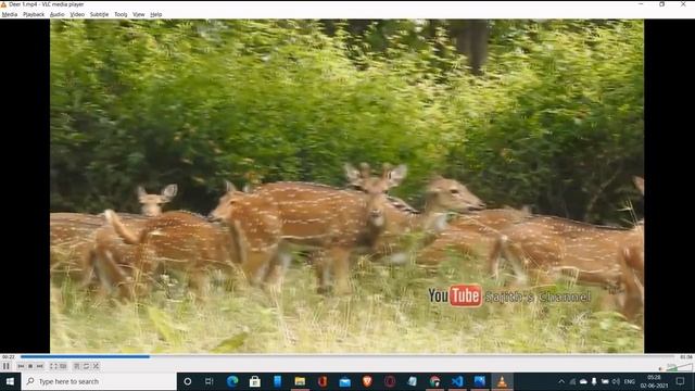 Group 2 Demo-  Wild Animal Intrusion Detection And Alert System