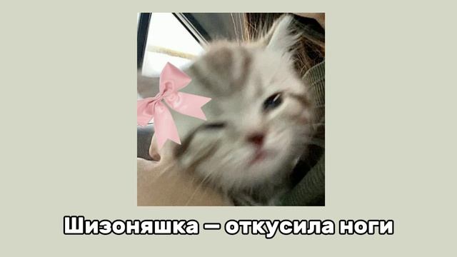   Шизоняшка  откусила ноги