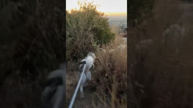 August 6, 2024 смотреть онлайн