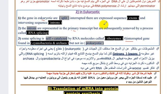 genetics  8 & 9    ثانيه صيدله الاخيره смотреть онлайн