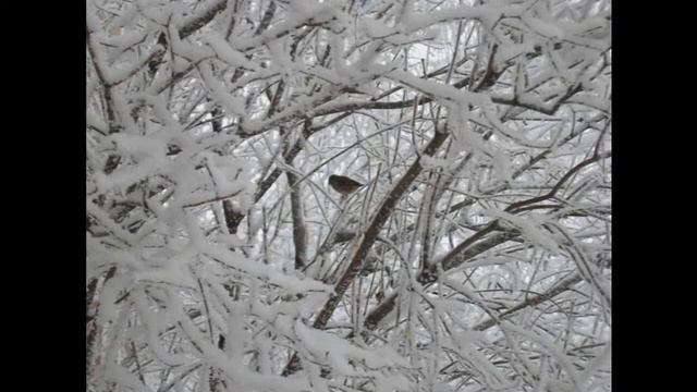 Russian Winter / Русская Зима смотреть онлайн