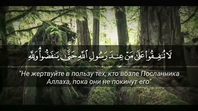 Коран Koran, Quran.Омар Хишам Сура:63 Аль-Мунафикун смотреть онлайн