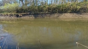 рыбалка 6 апреля х Лебеди Краснодарский край