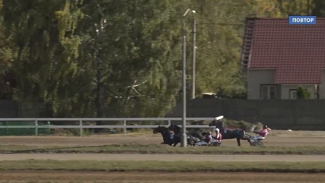 РАМ 23.09.23 5-й заезд смотреть онлайн