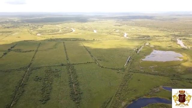 Звенящие кедры в Тюмени  Тюменский гектар  100 соток за 99тр Тюменский гектар  Успенка  Московский