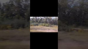 Песня для души "Уезжаю"