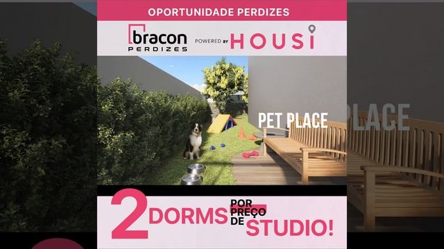 Bracon Perdizes смотреть онлайн