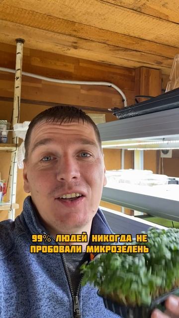 Польза микрозелени