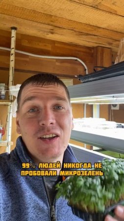 Польза микрозелени