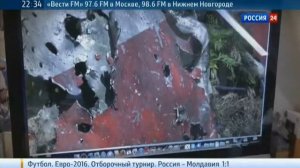 Фильм Аркадия Мамонтова "MH-17. Прерванный полет".