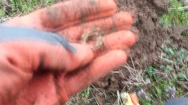 Клад римских монет смотреть онлайн