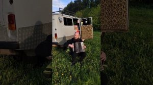 ласковый май на гармошке, белые розы