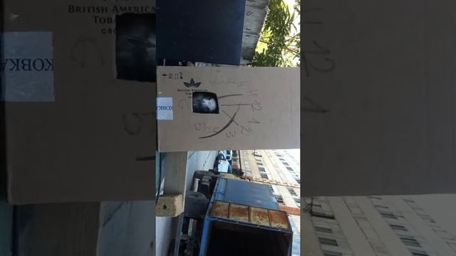 Чайка и приключение Шурика (ч.1) смотреть онлайн