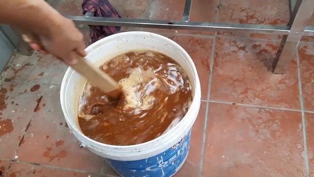 Cách ủ và nhân giống IMO - vi sinh bản địa | Bà Lan - Nông dân sân thượng #12 смотреть онлайн