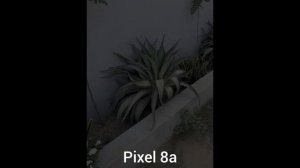 Google Pixel 8a Vs Google Pixel 7a Camera Test Comparison