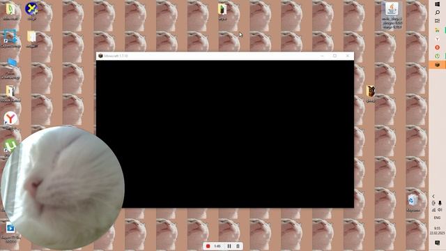 как подключить моды в ТЛаунчер!